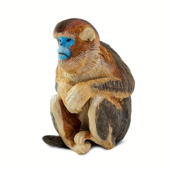 Krishna's Blue Face Monkey